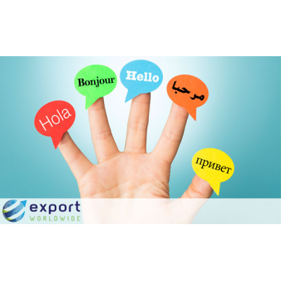 Export Worldwide er en global SEO-platform