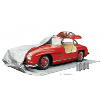 Auto-Entfeuchter für die Langzeitlagerung von Autos.