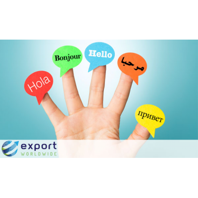 Export Worldwide is a global SEO platform