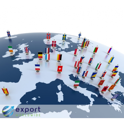 Choose the best international market entry strategies for you.