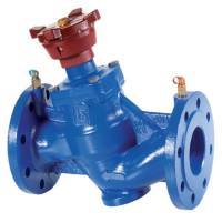 Omega valves balancing valve