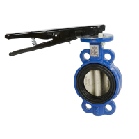 blue butterfly valve types