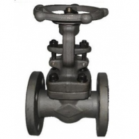 UK Procurement for Globe Valves Carbon Steel 2