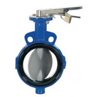 Pentair Valve supplier -valves