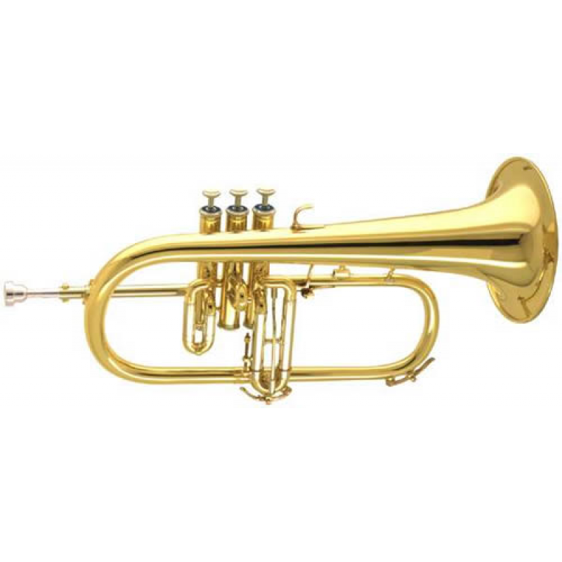 Quais São Os Instrumentos Que Compõem Uma Fanfarra