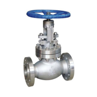 Acier Globe Valve Supplier 2