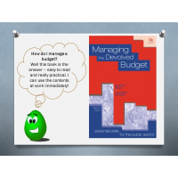Budget per il libro delle organizzazioni non profit