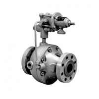 Emerson Fisher Supplier nel Regno Unito - fisher valve