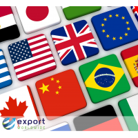 Marketing vertaaldiensten aangeboden door ExportWorldwide