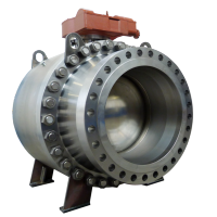 Trunnion ball valve typer