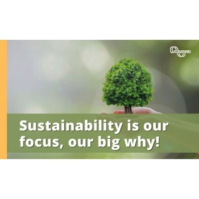 Sustentabilidade, grande porque