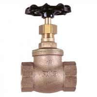 Brass Globe Valve Supplier 2